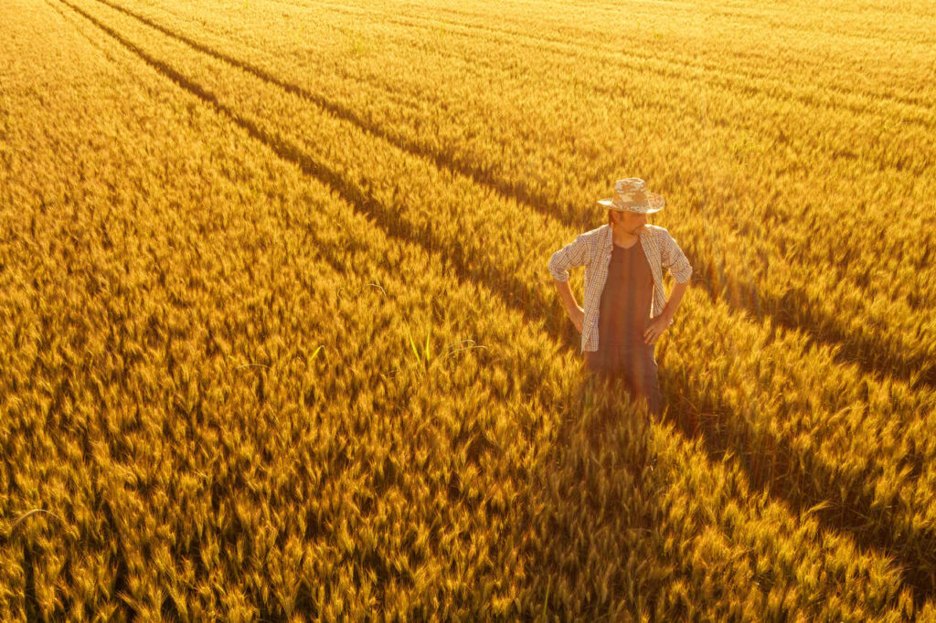 homem com chapéu de palha em meio a uma commoditie agrícola